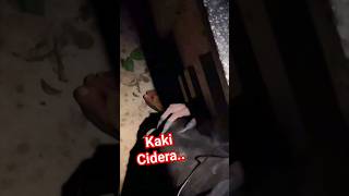 Kaki Cidera trending explore horror trend foryou tiktok explorepage highlights [upl. by Malamut]