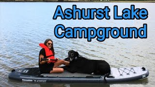 Ashurst Lake Campground amp Adjacent BoondockingGreat Dane Learns to Dogpaddle amp Paddleboard [upl. by Inwat392]