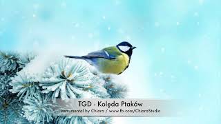 TGD  Kolęda Ptaków  instrumental cover aranż podkład muzyczny karaoke by Chiara [upl. by Reivazx897]