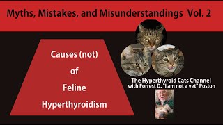 Causes Not of Feline Hyperthyroidism Myths Misunderstandings and Mistakes Volume Two [upl. by Latsyc]