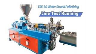 TSE 30 WaterStrand PelletizingLine Test Running [upl. by Berey805]