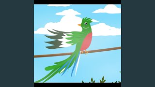 El Quetzal [upl. by Ilram]