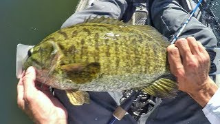 6 over 20quot Epic Day Of Kayak Fishing Smallmouth On Beds [upl. by Bonney348]