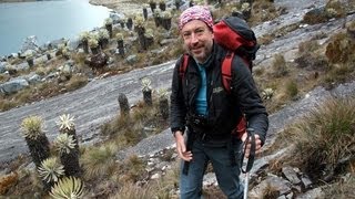 Melting heart of the Sierra Nevada del Cocuy [upl. by Broddie554]