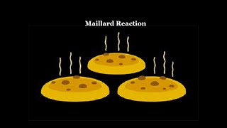 Maillard Reaction [upl. by Andi]