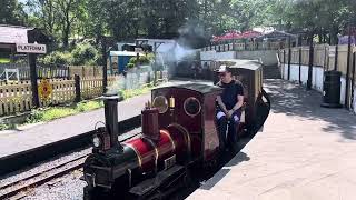 Bickington Steam Railway at Trago Mills 1952024 [upl. by Ataner]