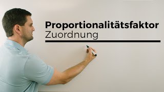 Proportionalitätsfaktor Proportionalität Zuordnungen Mathe by Daniel Jung [upl. by Ramal483]