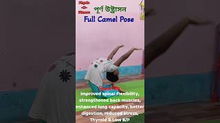 Purna Ustrasana Yoga Full Camel Pose shorts yoga exercise motivation backbend viralshorts [upl. by Shank]