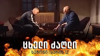 ცხელი ძაღლი  სეზონი 1 სერია 12 [upl. by Charmion588]