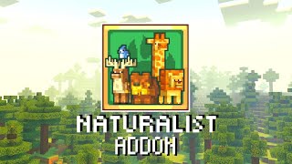 Naturalist 20 addon actualizado para Minecraft bedrock 120  descargar gratis  Minecraft pe [upl. by Eylatan]