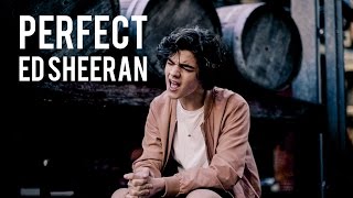 Perfect  Ed Sheeran Cover by Alexander Stewart [upl. by Maurise]