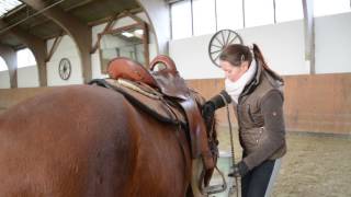 Reiten lernen  So lernst Du reiten [upl. by Ataeb]