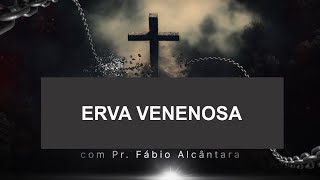 ERVA VENENOSA Bandeirantes 27 de outubro [upl. by Nerw]