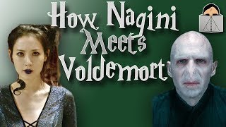 How Nagini Meets Voldemort  FANTASTIC BEASTS THEORY [upl. by Brock837]