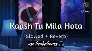 Kaash TU Mila Hota full songSlowed  ReverbKaash TU Mila Hota full songSlowed  Reverb [upl. by Twitt]