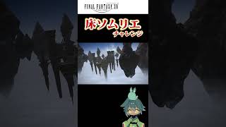 【FF14】今まで舐めた床の味を覚えてるか？床ソムリエチャレンジ44【もち月兎】shorts ヒカセン新人vtuber vtuber ff14 [upl. by Fritzie461]