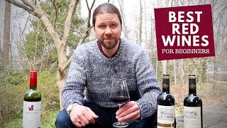 The Best Red Wines For Beginners Series 6 Malbec [upl. by Alleahcim]