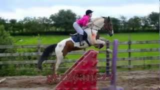 WARNING CONTAINS FLASHING IMAGES Horse Riding Thrills amp Spills 200 [upl. by Lovering853]