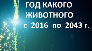 Год какого животного 2018 по гороскопу по годам по китайскому календарю сейчас [upl. by Burr]