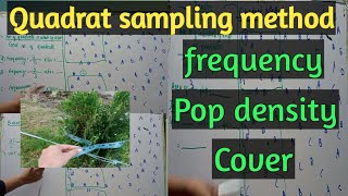 Quadrat methodsampling of vegetationfrequencydensitycoverplant community jtacademy [upl. by Heti294]