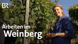 Winzerin  Ausbildung  Beruf  Ich machs  BR [upl. by Luht]