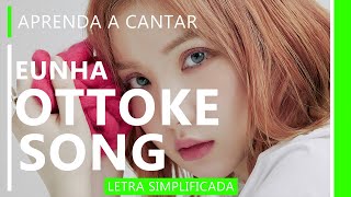 Aprenda a cantar OTTOKE SONG letra simplificada [upl. by Zoeller]