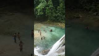 Most Beautiful Falls in Jamaica river trip outdoor jamaica reachfalls shorts nature vacation [upl. by Rahman]