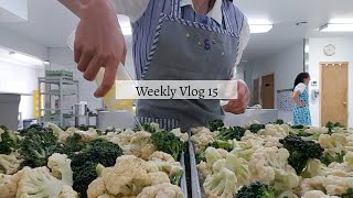 Weekly Vlog  15 cooking for our community again [upl. by Donaugh]