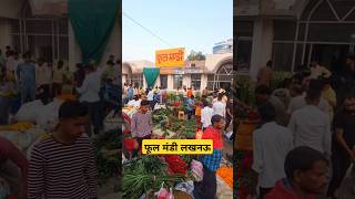 Fhool Mandi in Lucknow Lucknow Lucknowplaces ytshorts youtubeshorts flowers [upl. by Essenaj]