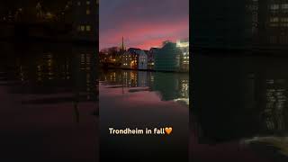 trondheim norway heaven fall atumn [upl. by Esaertal]