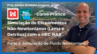 Simulação de Escoamento de Fluidos NãoNewtoniano Parte 5 Simulação de um Fluido Newtoniano [upl. by Benedict967]