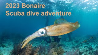 2023 Bonaire Scuba Dive Adventure [upl. by Feliks961]