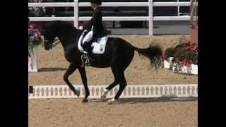 MOV005MOD Dressage Freestyle Desparado London Olympics 2012 [upl. by Windy]