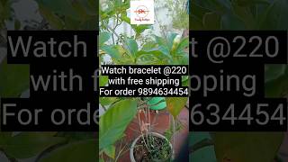 ✨ watch bracelet launching offer220 bracelet sktrendingshorts [upl. by Ayatnwahs17]