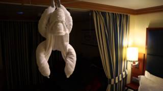 Disney Cruise Ship Towel Animals [upl. by Islehc]