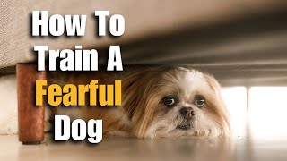 How To Train A Fearful Dog [upl. by Htebazileharas]