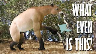 Chalicotherium  Just how weird can mammals get [upl. by Burny959]