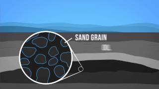 Oil 101 [upl. by Catlin]