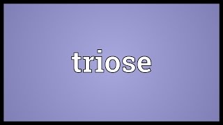 Triose Meaning [upl. by Onitnelav259]