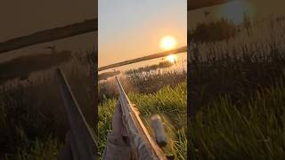 Honker Came in PERFECT hunting goosehunting duckhunting waterfowl [upl. by Hctub]