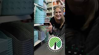 DOLLAR TREE organization hacks 🤯 2024 dollartree [upl. by Llemert]