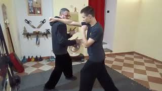 Wing Chun vs Hung gar [upl. by Cusack]