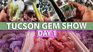 Tucson Gem Show Day 1 2024 Crystal Shop with me at the worlds largest gem show [upl. by Keelin222]