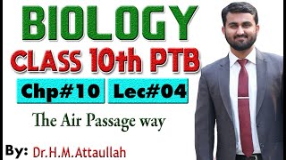 The Air Passage way  Gaseous exchange in humans  Chapter  10  Biology Class 10th Lec  4 [upl. by Paradies899]