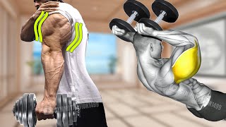 6 Fastest Dumbbell Huge Triceps Exercises [upl. by Mota]