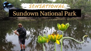 HIKE and CAMP Sundown National Park Broadwater Camping Area [upl. by Bedwell820]