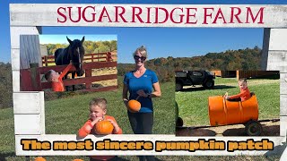 Sugar Ridge Farm Pumpkin Patches Bounces and Barnyard Buddies [upl. by Medin923]