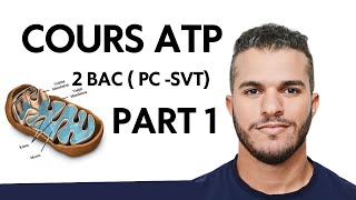 ATP 2 Bac  Libération de lénergie emmagasinée dans la matière organique Part1 [upl. by Adran25]