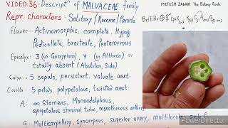 Malvaceae Family  Floral Formula and Floral Diagram of Cotton Family in Hindi and English [upl. by Acinonrev354]