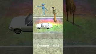 animal crossing the road challenged 길건너친구들 zoonomaly accident crossing animal 동물 friend [upl. by Onitnevuj54]